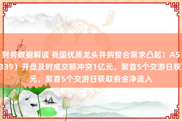 财务数据解读 我国优质龙头并购整合需求凸起！A500ETF（159339）开盘及时成交额冲突1亿元，聚首5个交游日获取资金净流入