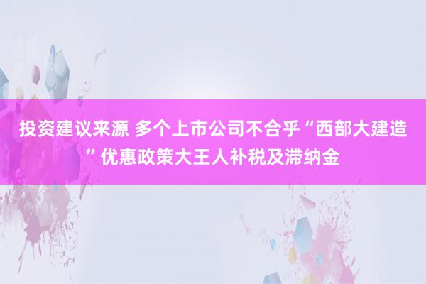 投资建议来源 多个上市公司不合乎“西部大建造”优惠政策大王人补税及滞纳金