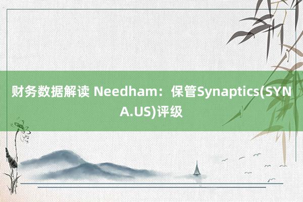 财务数据解读 Needham：保管Synaptics(SYNA.US)评级