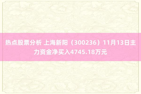 热点股票分析 上海新阳（300236）11月13日主力资金净买入4745.18万元