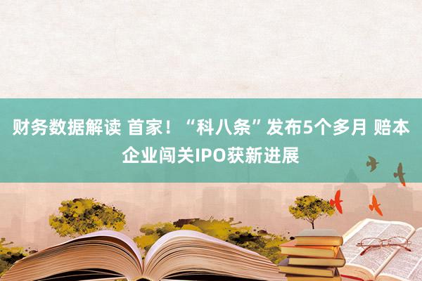 财务数据解读 首家！“科八条”发布5个多月 赔本企业闯关IPO获新进展