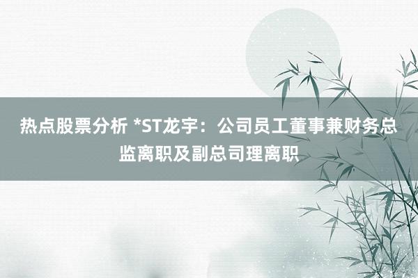 热点股票分析 *ST龙宇：公司员工董事兼财务总监离职及副总司理离职