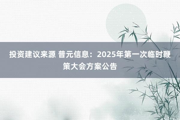 投资建议来源 普元信息：2025年第一次临时鞭策大会方案公告