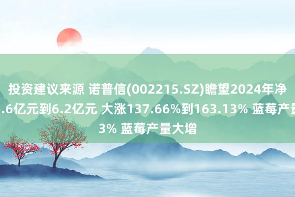 投资建议来源 诺普信(002215.SZ)瞻望2024年净利润5.6亿元到6.2亿元 大涨137.66%到163.13% 蓝莓产量大增