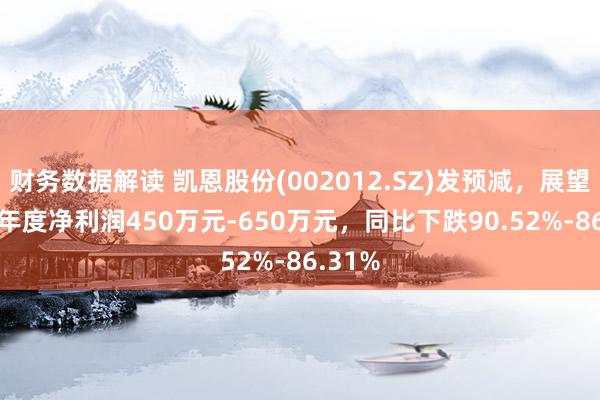 财务数据解读 凯恩股份(002012.SZ)发预减，展望2024年度净利润450万元-650万元，同比下跌90.52%-86.31%