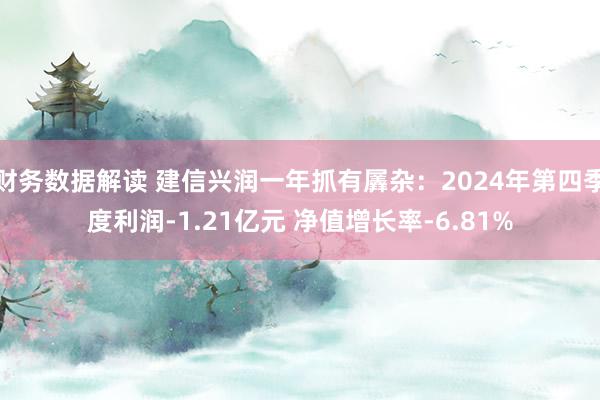 财务数据解读 建信兴润一年抓有羼杂：2024年第四季度利润-1.21亿元 净值增长率-6.81%