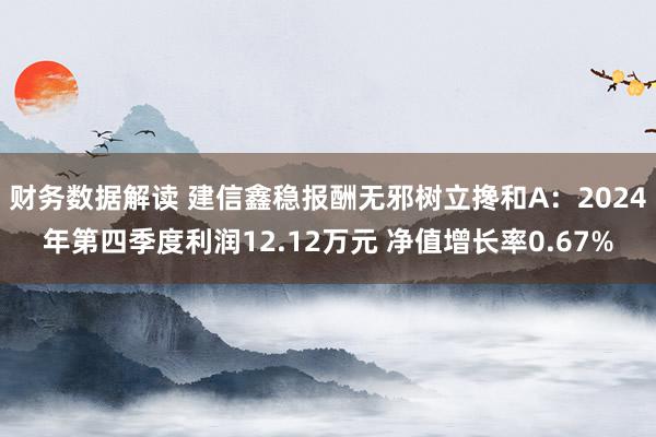 财务数据解读 建信鑫稳报酬无邪树立搀和A：2024年第四季度利润12.12万元 净值增长率0.67%