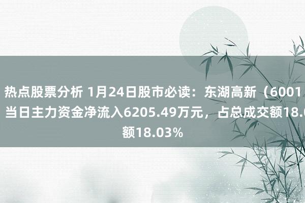 热点股票分析 1月24日股市必读：东湖高新（600133）当日主力资金净流入6205.49万元，占总成交额18.03%