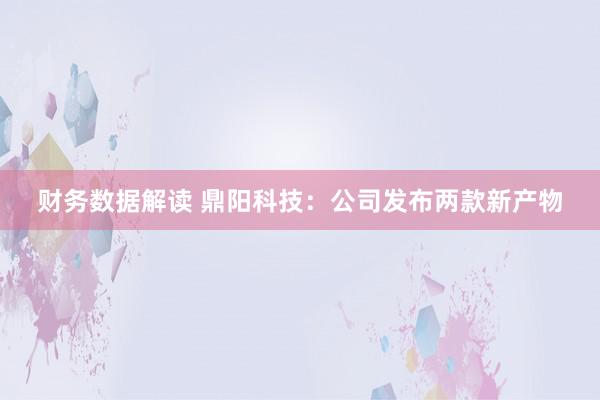 财务数据解读 鼎阳科技：公司发布两款新产物