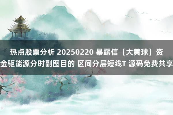 热点股票分析 20250220 暴露信【大黄球】资金驱能源分时副图目的 区间分层短线T 源码免费共享