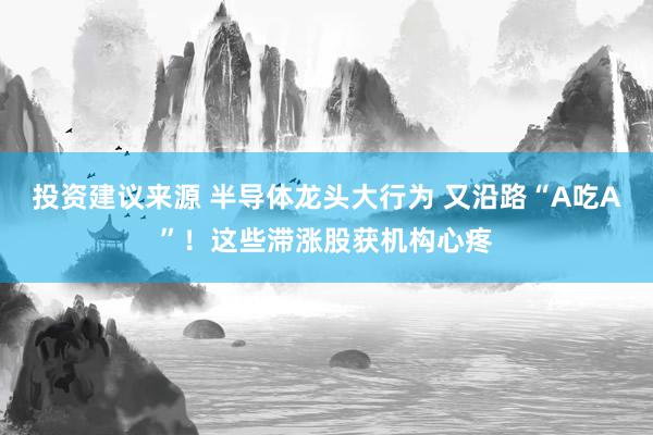 投资建议来源 半导体龙头大行为 又沿路“A吃A”！这些滞涨股获机构心疼