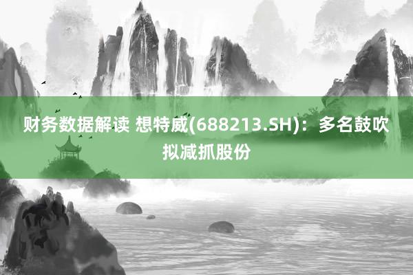 财务数据解读 想特威(688213.SH)：多名鼓吹拟减抓股份